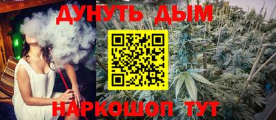 эйфоретик Славгород