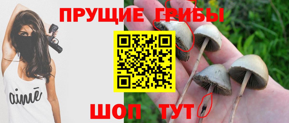 Псилоцибиновые грибы MAGIC MUSHROOMS Октябрьский